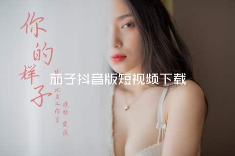 茄子抖音版短视频下载